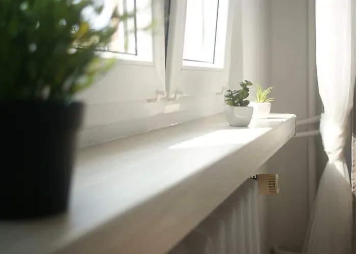 Ktw Spodek كاتوفيتسه